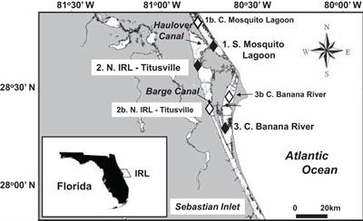 Cyclical Patterns and a Regime Shift in the Character of Phytoplankton Blooms in a Restricted Sub-Tropical Lagoon, Indian River Lagoon, Florida, United States